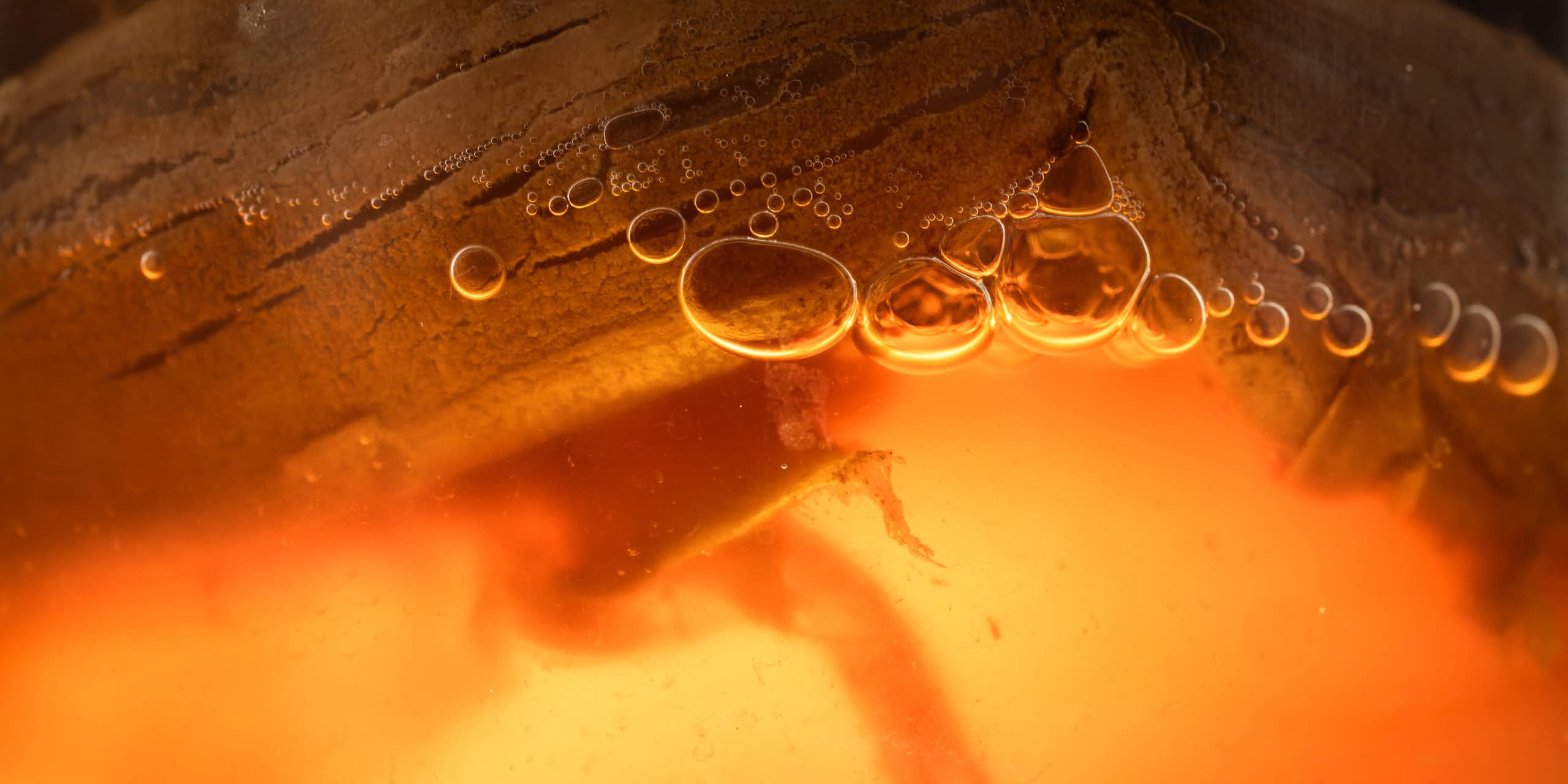 scoby kombucha