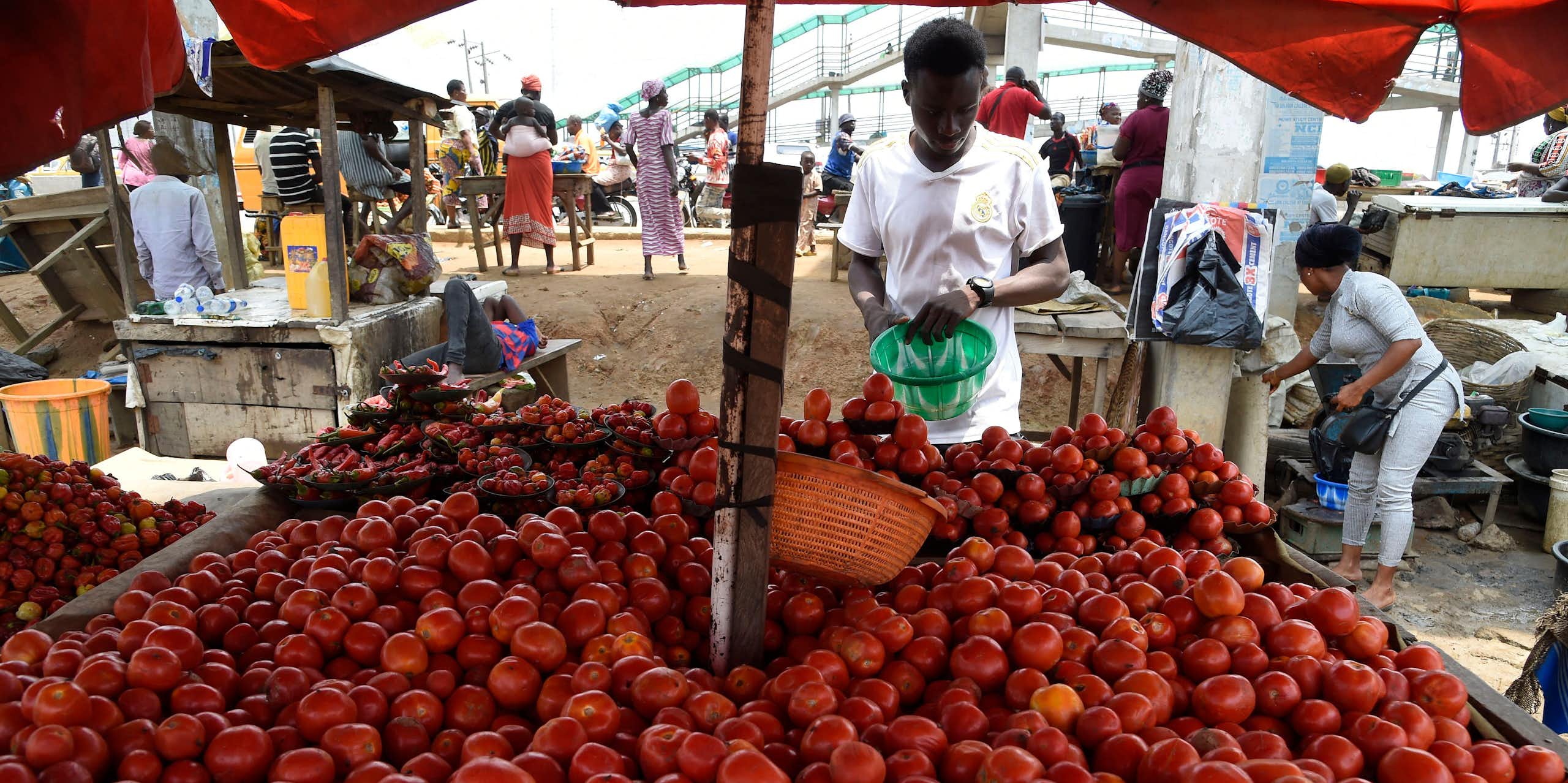 A tomato vendor stands by ware at a market