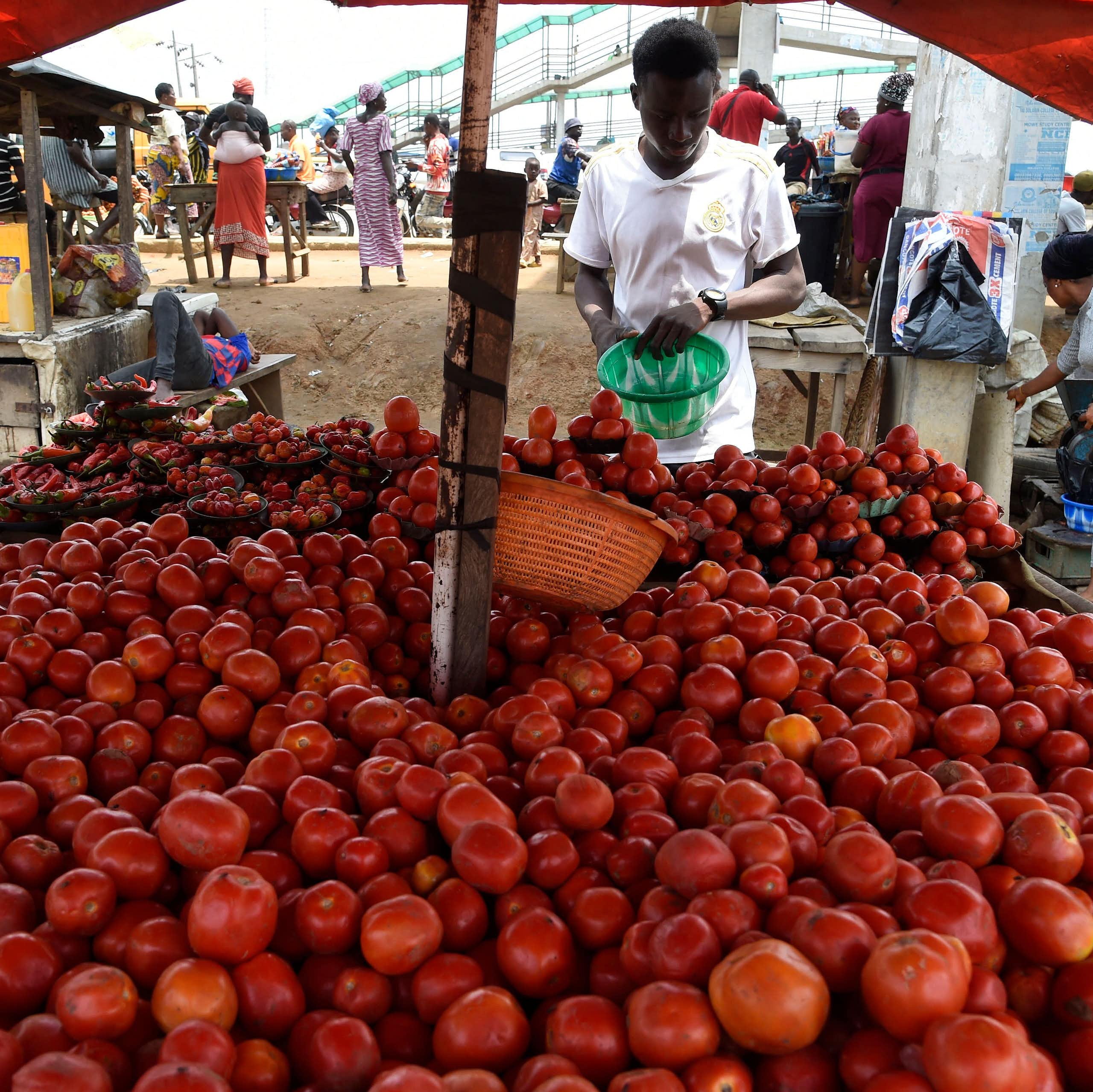 A tomato vendor stands by ware at a market