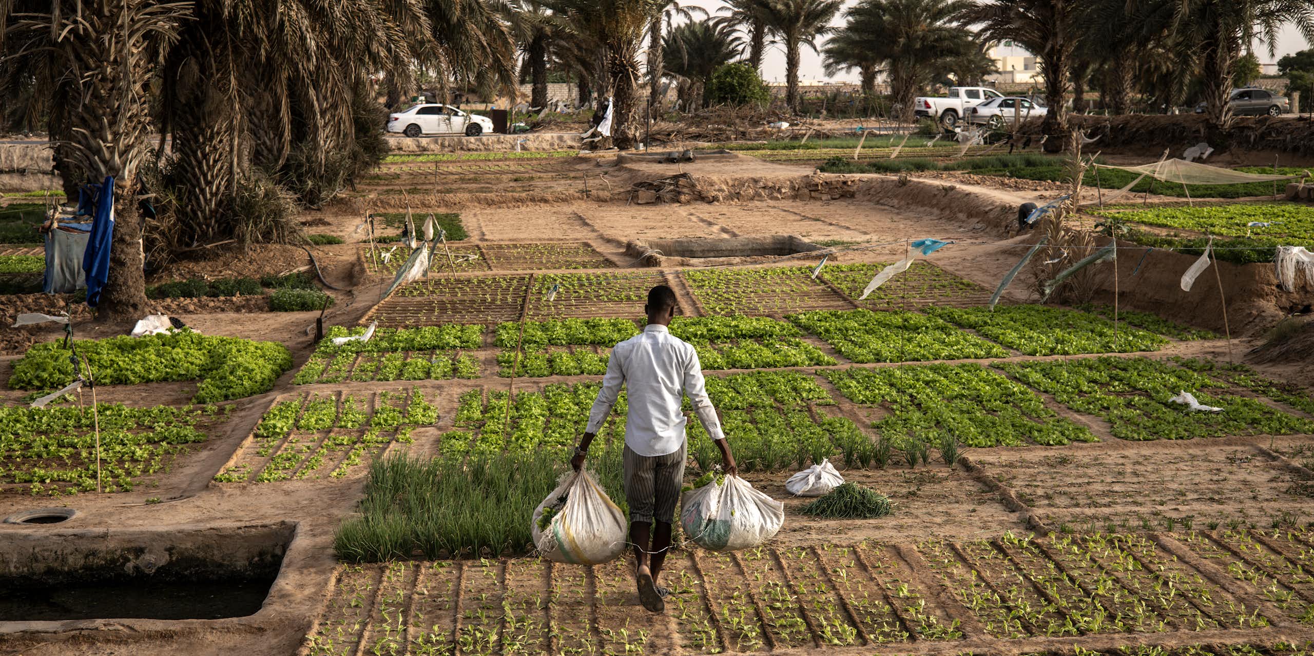 A person carrying two sacks of vegetables walks through a small garden in a city