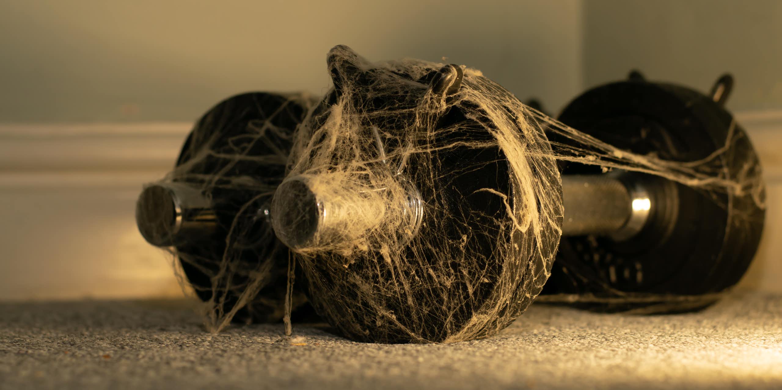 A set of dumbbells covered in cobwebs