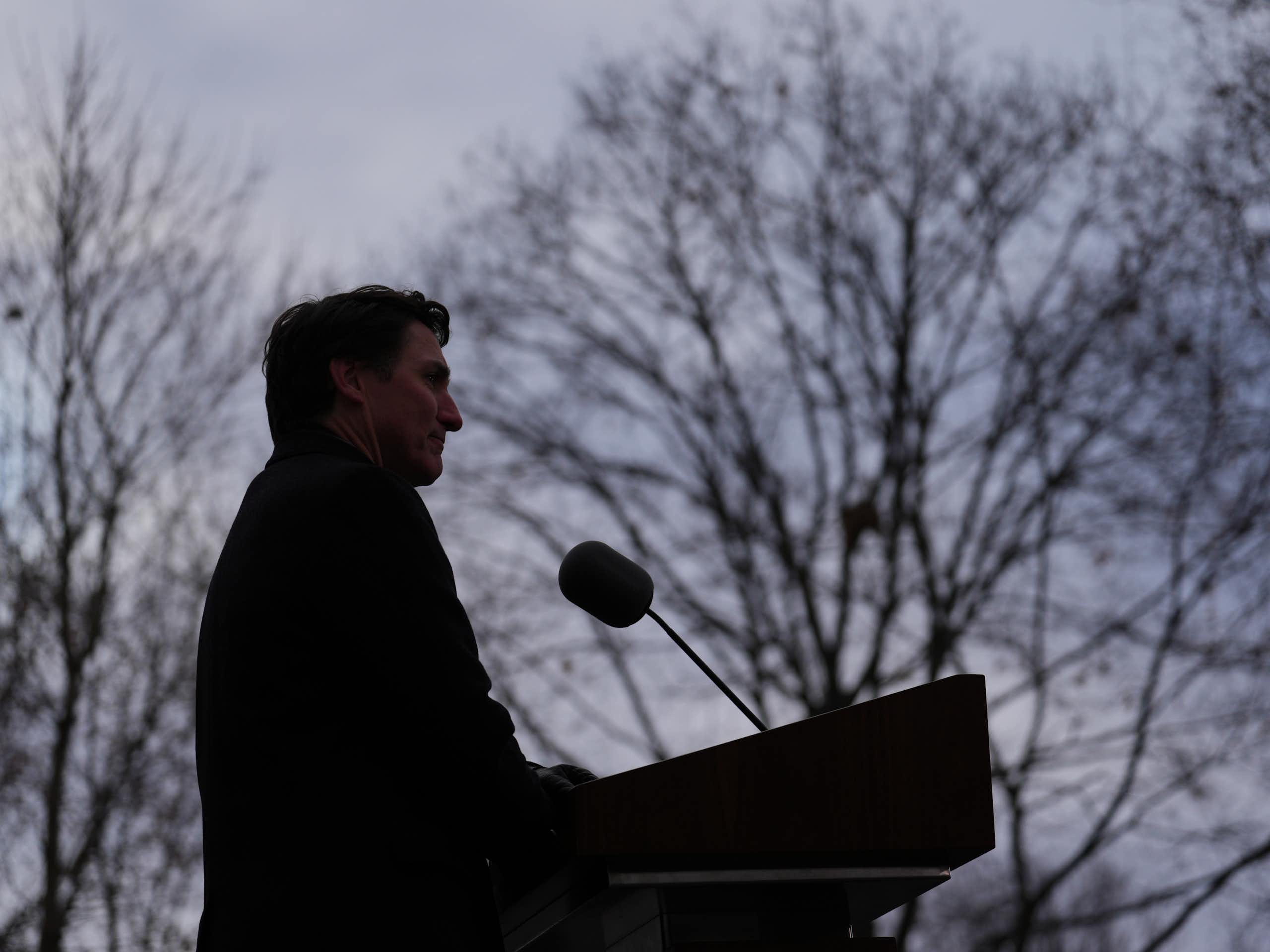 A dark-haired man in silhouette against the branches of trees behind him.