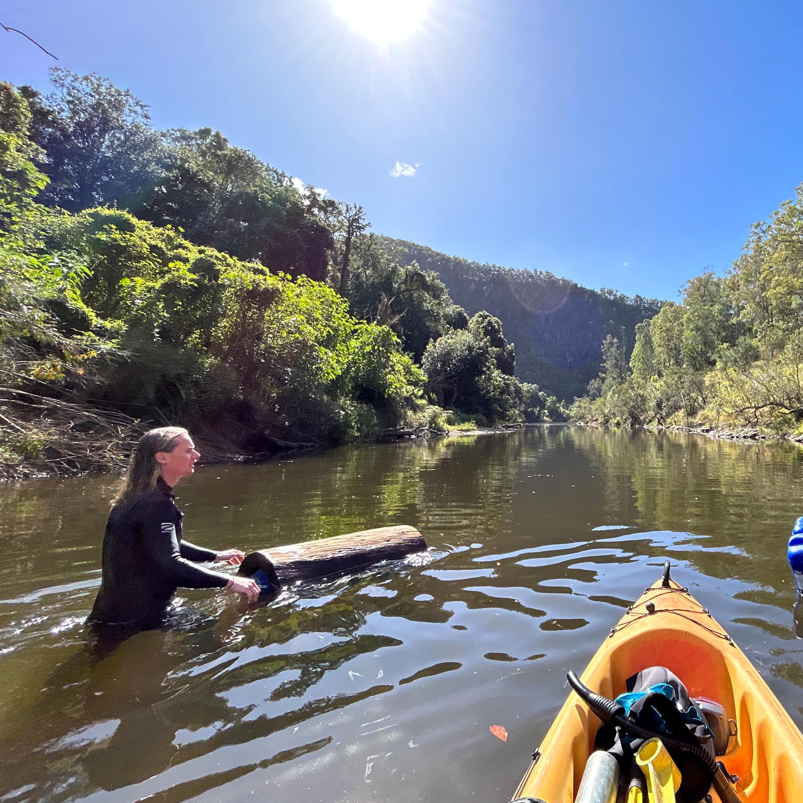 Photo showing two researchers placing hollow logs in the Mary River