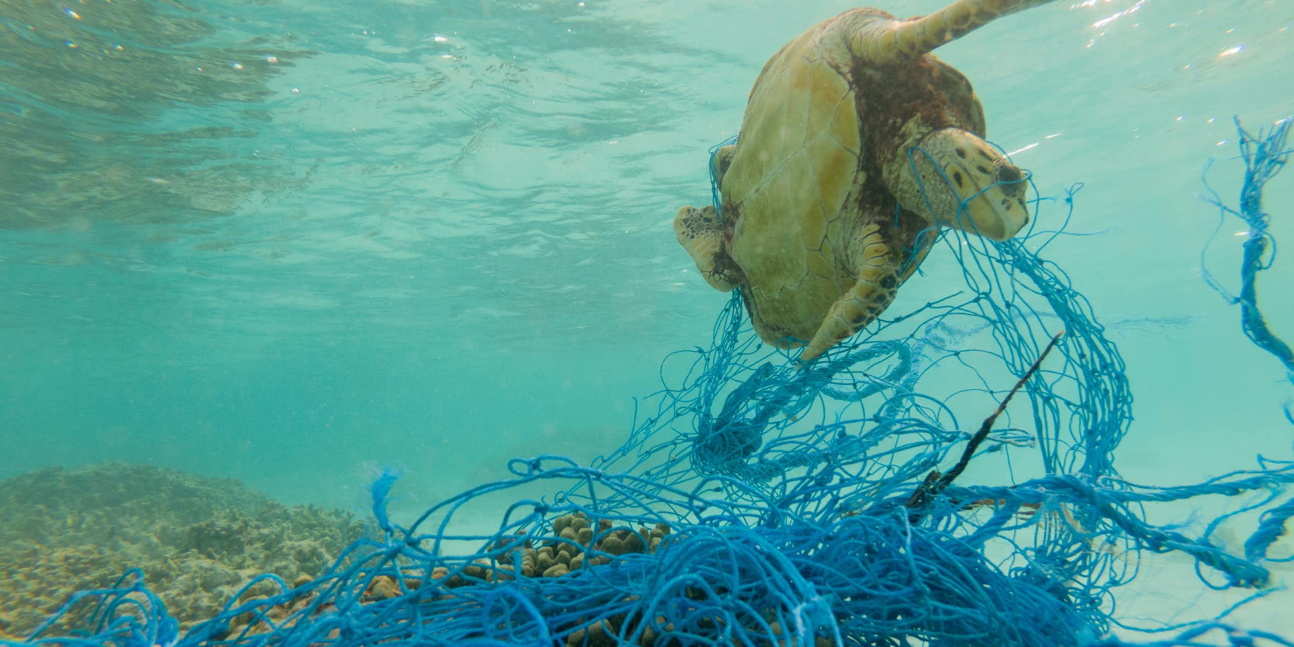 Las redes marinas abandonadas en los océanos, otra fuente de contaminación por plásticos