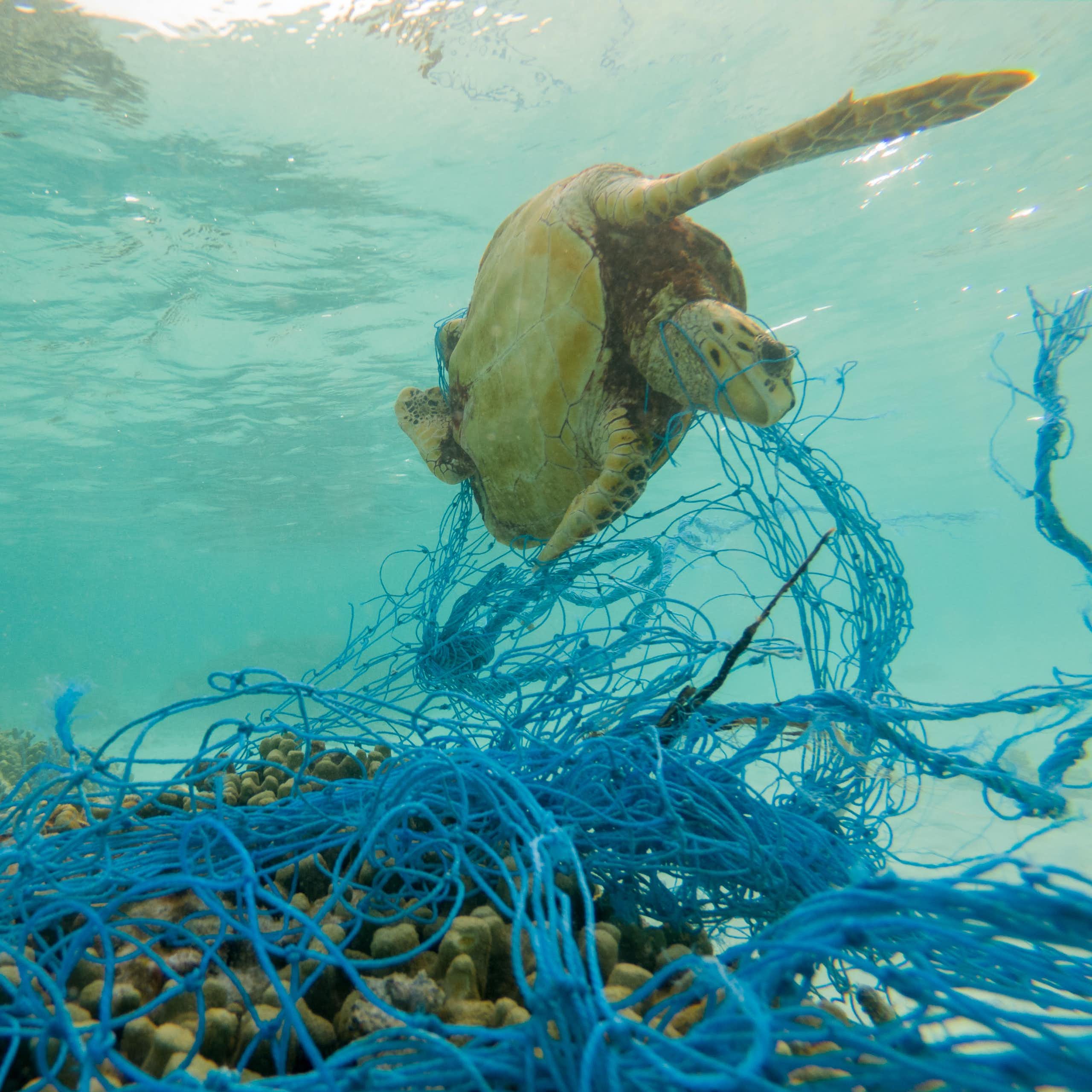 Las redes marinas abandonadas en los océanos, otra fuente de contaminación por plásticos