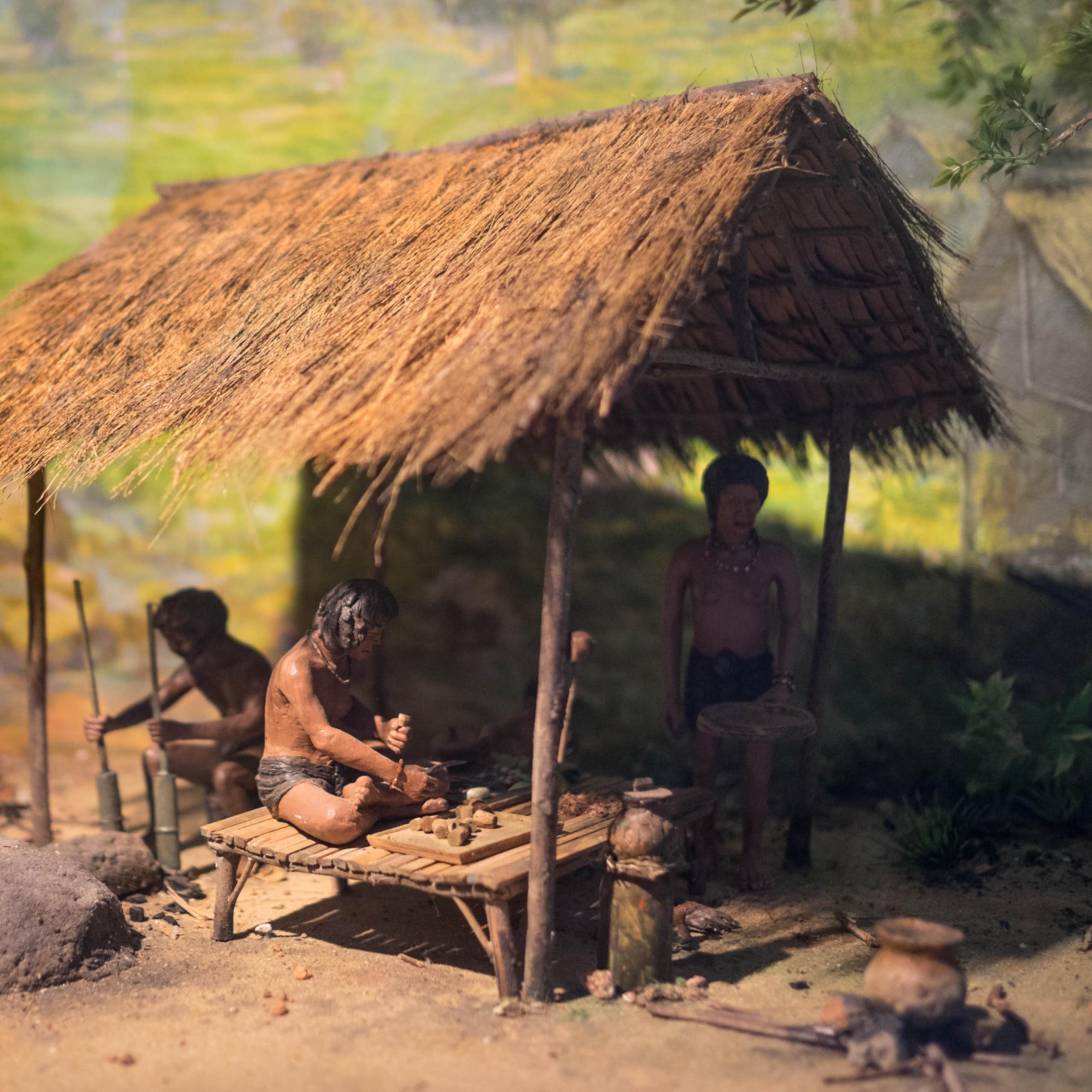 La selección: ¿somos tan diferentes de nuestros antepasados prehistóricos?