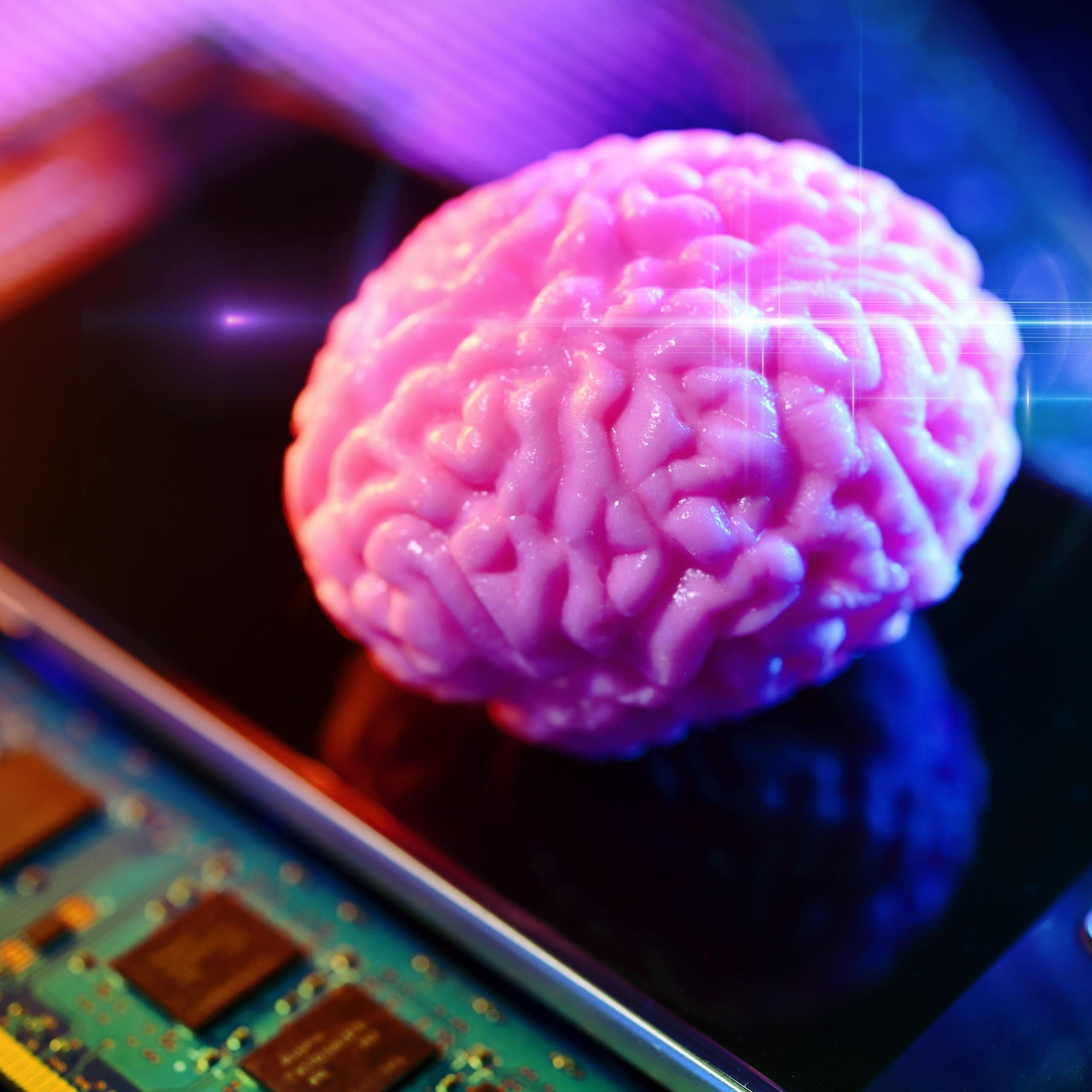 A pink brain on a smartphone with computer board.
