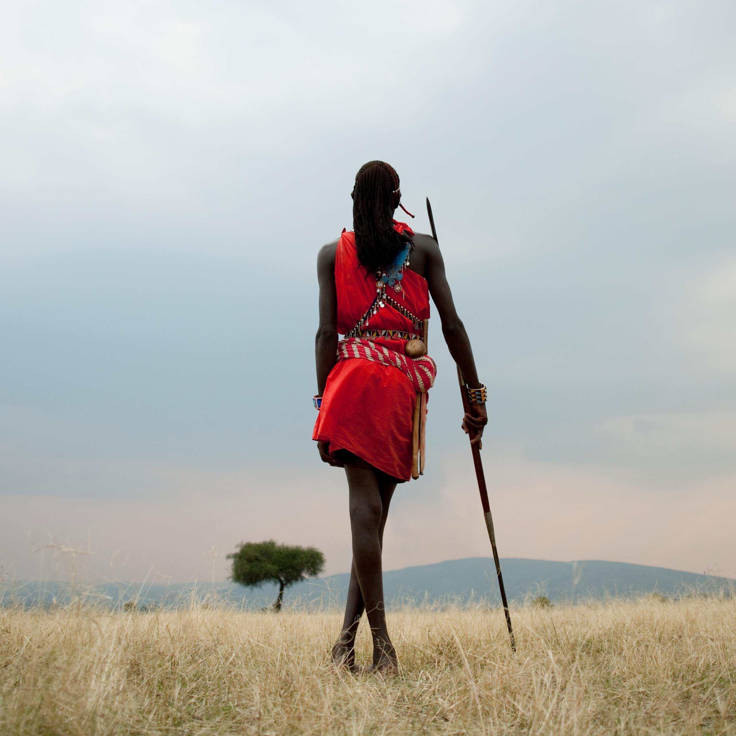 Rear view of person standing, leaning on a stick, in an open landscape