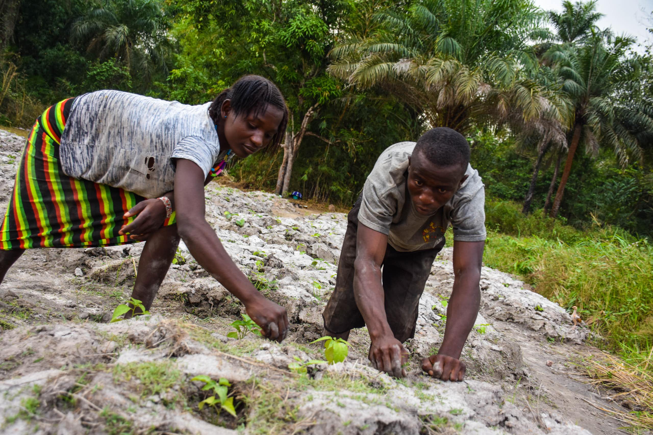 A man and a woman, working on farm