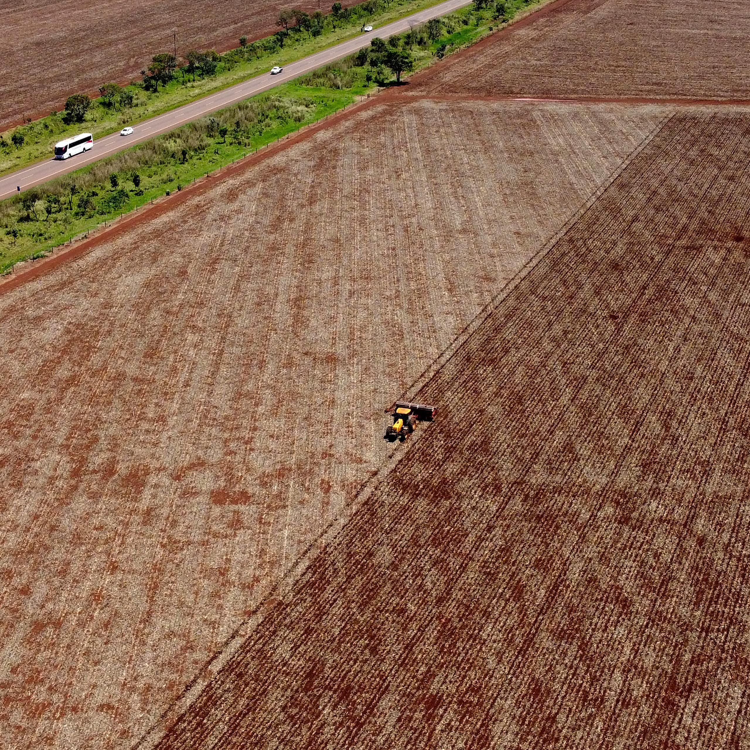 OPINIÃO: Bio é bio e agro é agro — a agricultura em tempos de crise