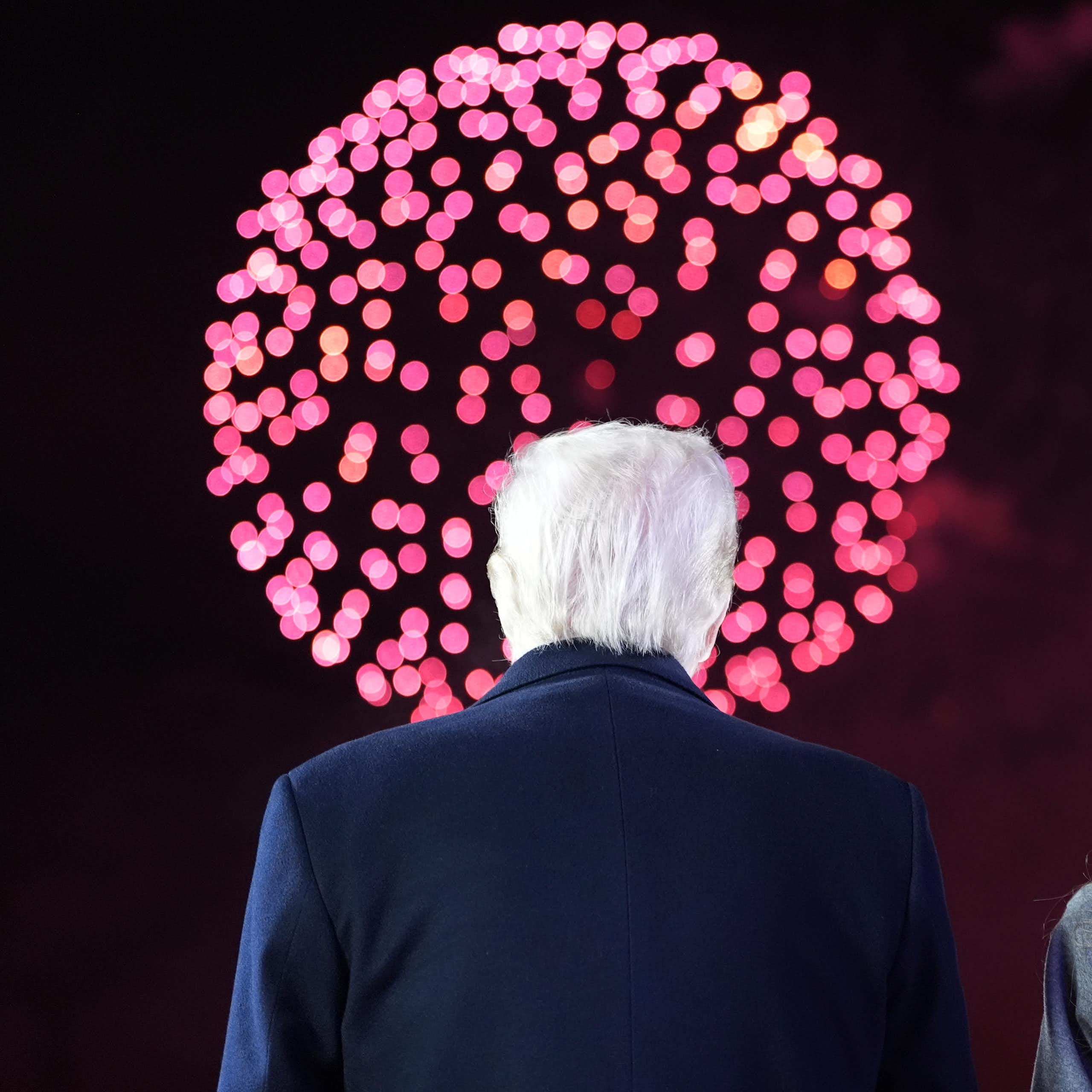 A white-haired man and a woman with dark-blond hair have their backs to the camera as they look at pink and red fireworks.