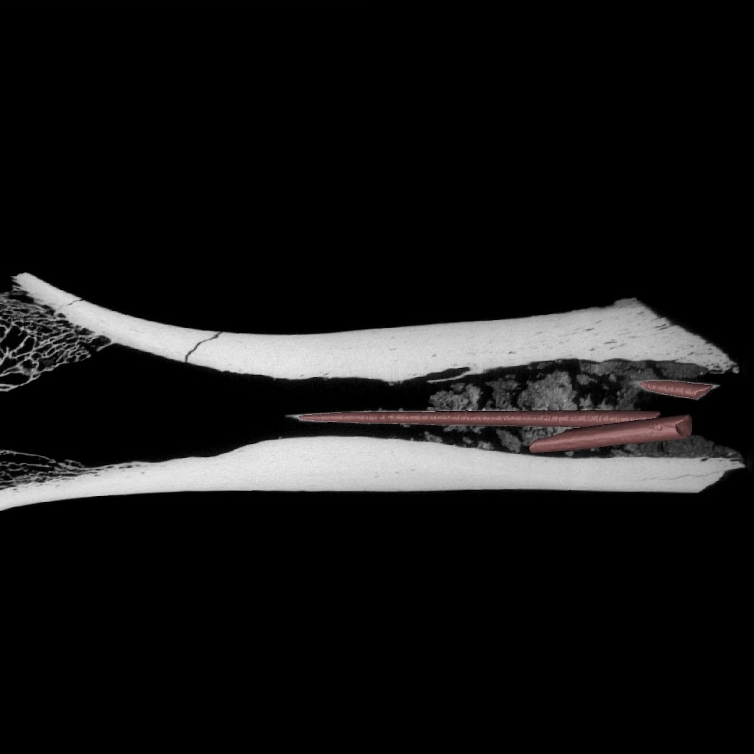 Discovery in South Africa holds oldest evidence of mixing ingredients to make arrow poison