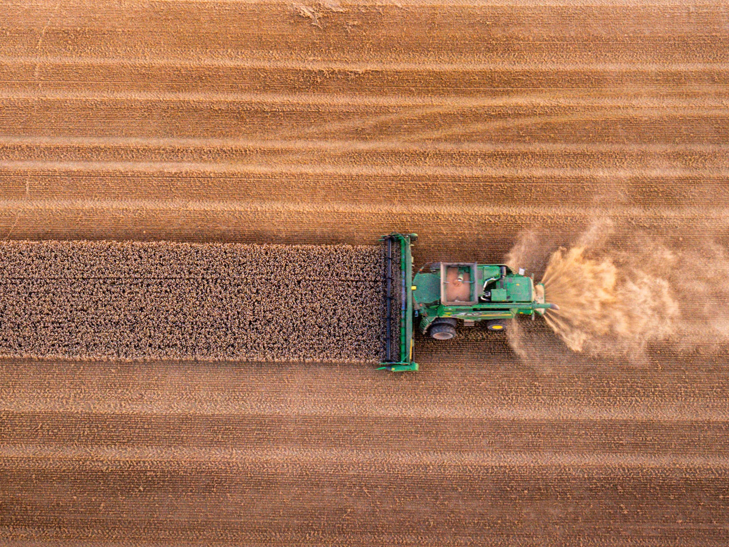 Aerial view of a combine harvested ploughing a wheat field
