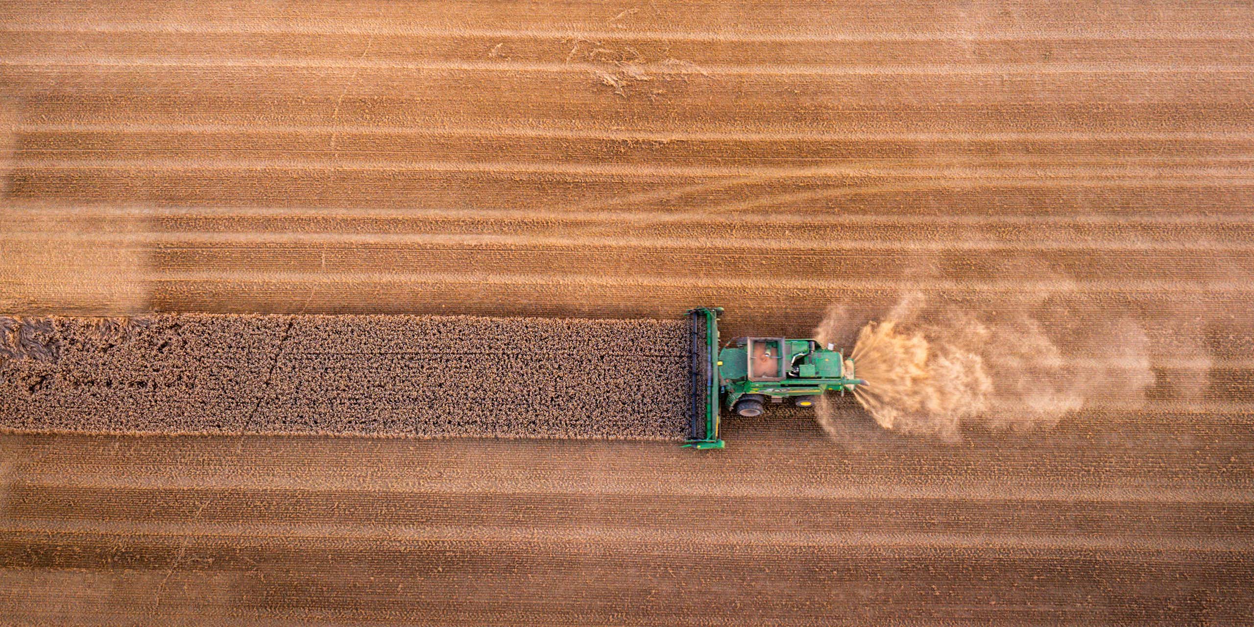 Aerial view of a combine harvested ploughing a wheat field