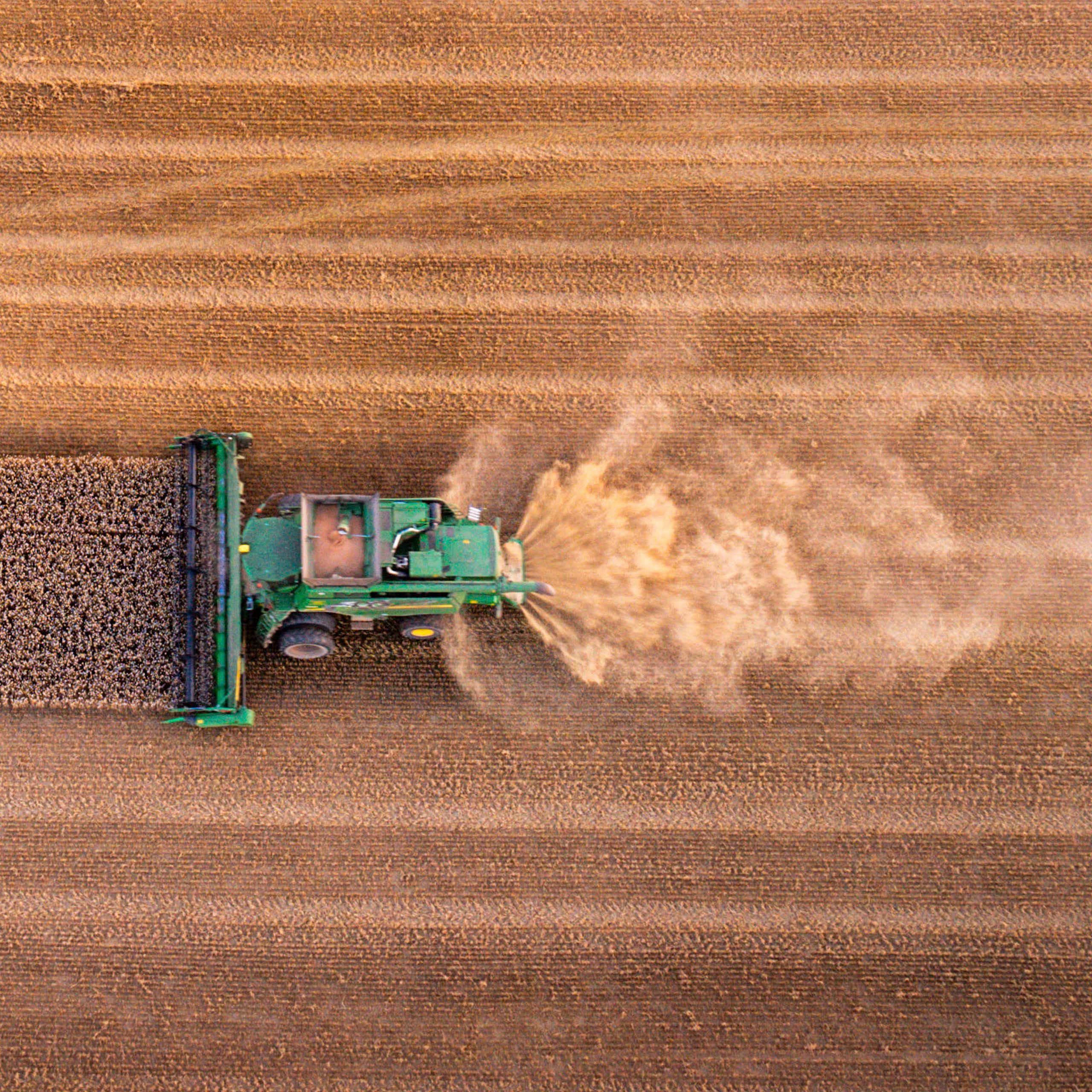 Aerial view of a combine harvested ploughing a wheat field