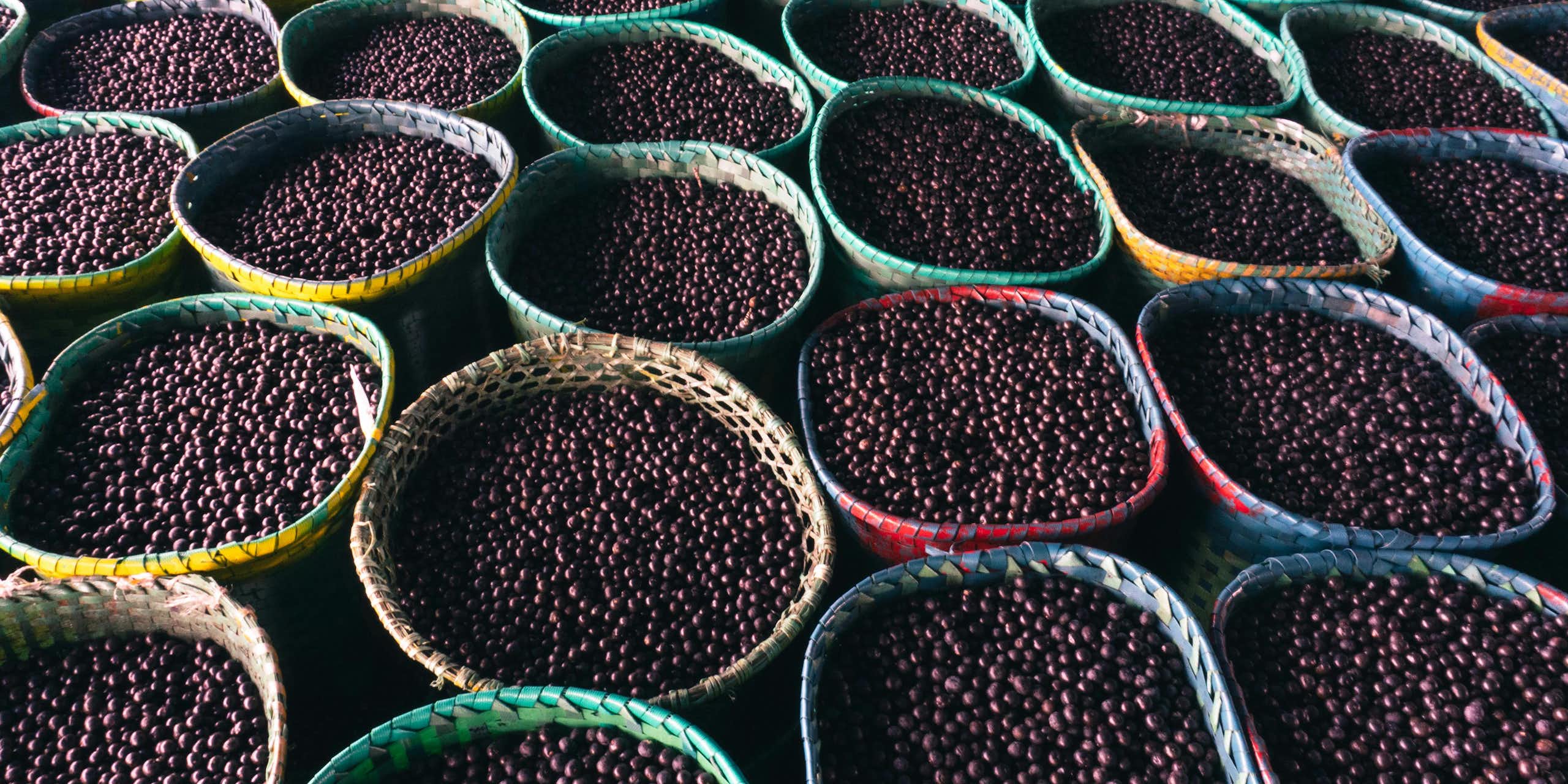 Caroço do açaí, um remédio natural contra obesidade e diabetes