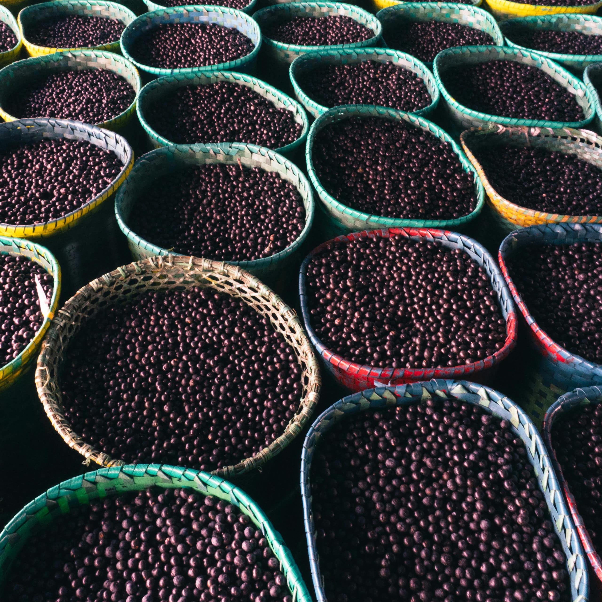 Caroço do açaí, um remédio natural contra obesidade e diabetes