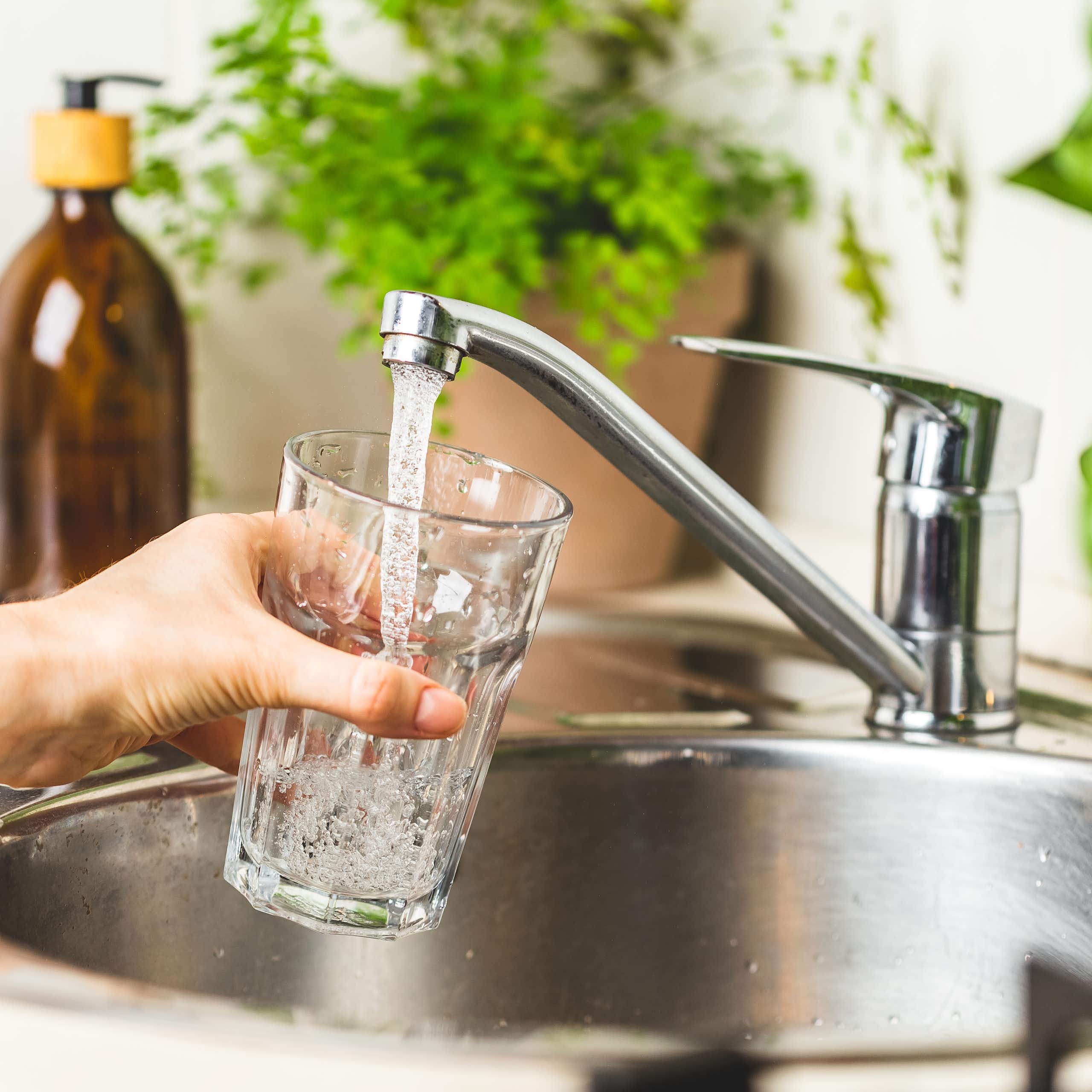 A hand filling a glass of water from the tap.