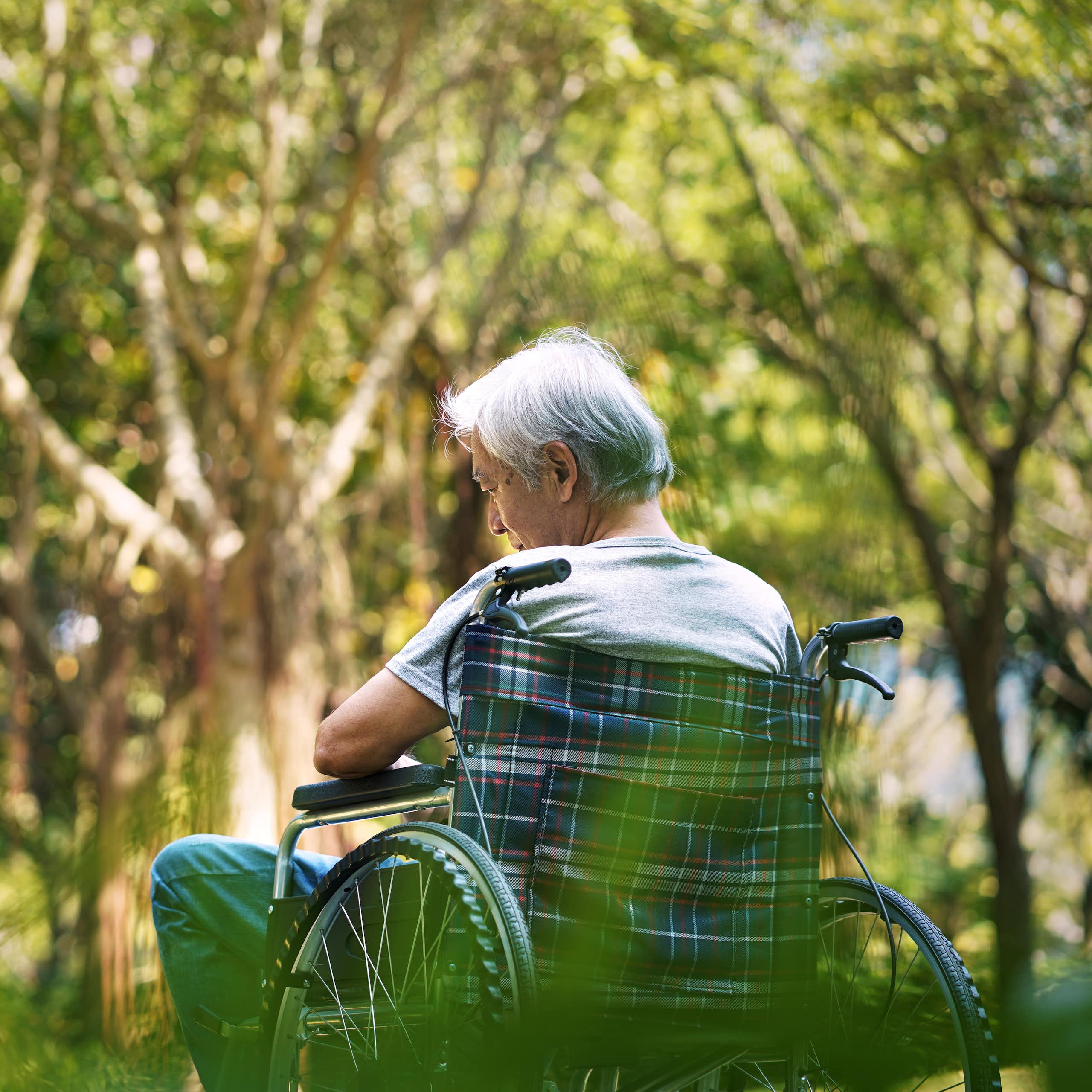 A man sits in a wheelchair in bushland.