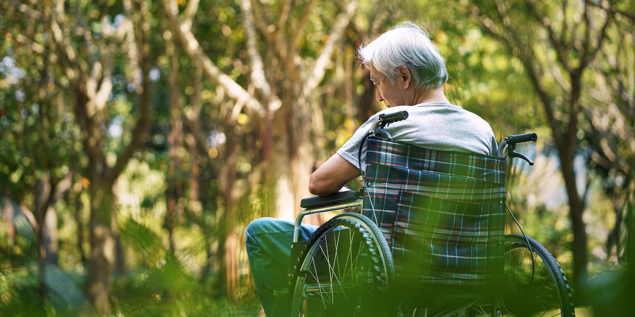 A man sits in a wheelchair in bushland.