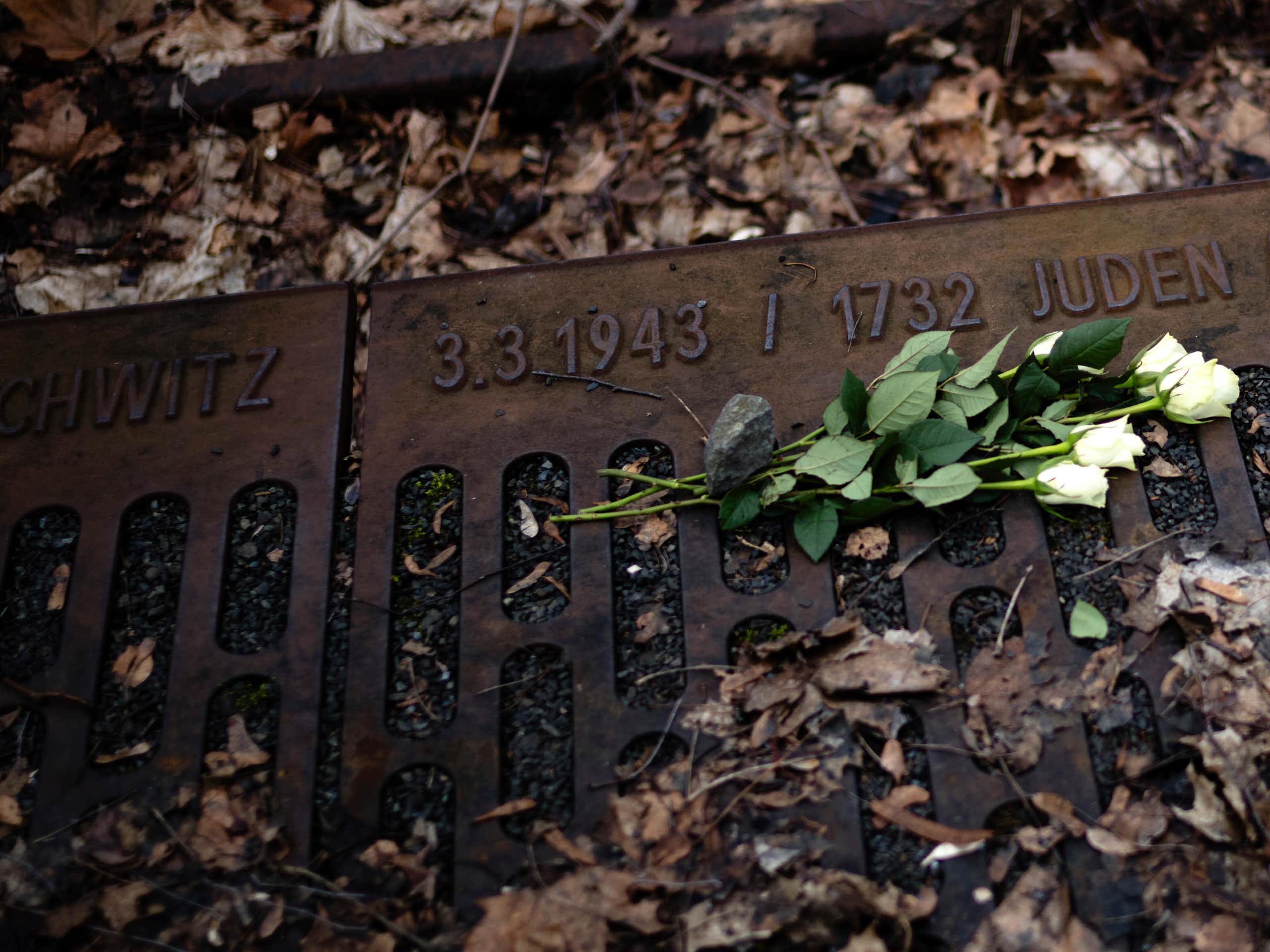 A white rose seen on tracks.