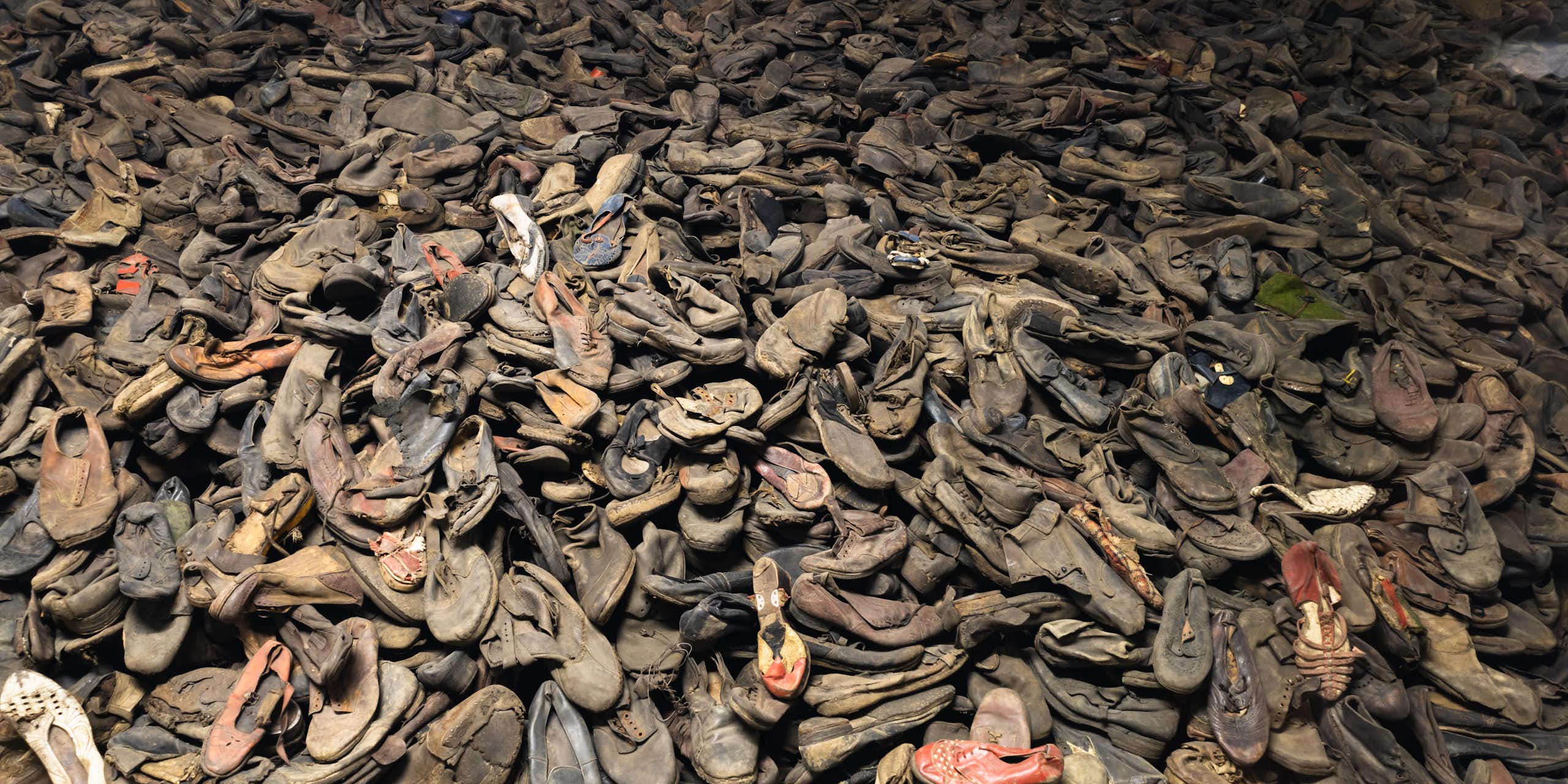 Un 27 janvier pas comme les autres : l’Allemagne, la mémoire d’Auschwitz et la guerre à Gaza