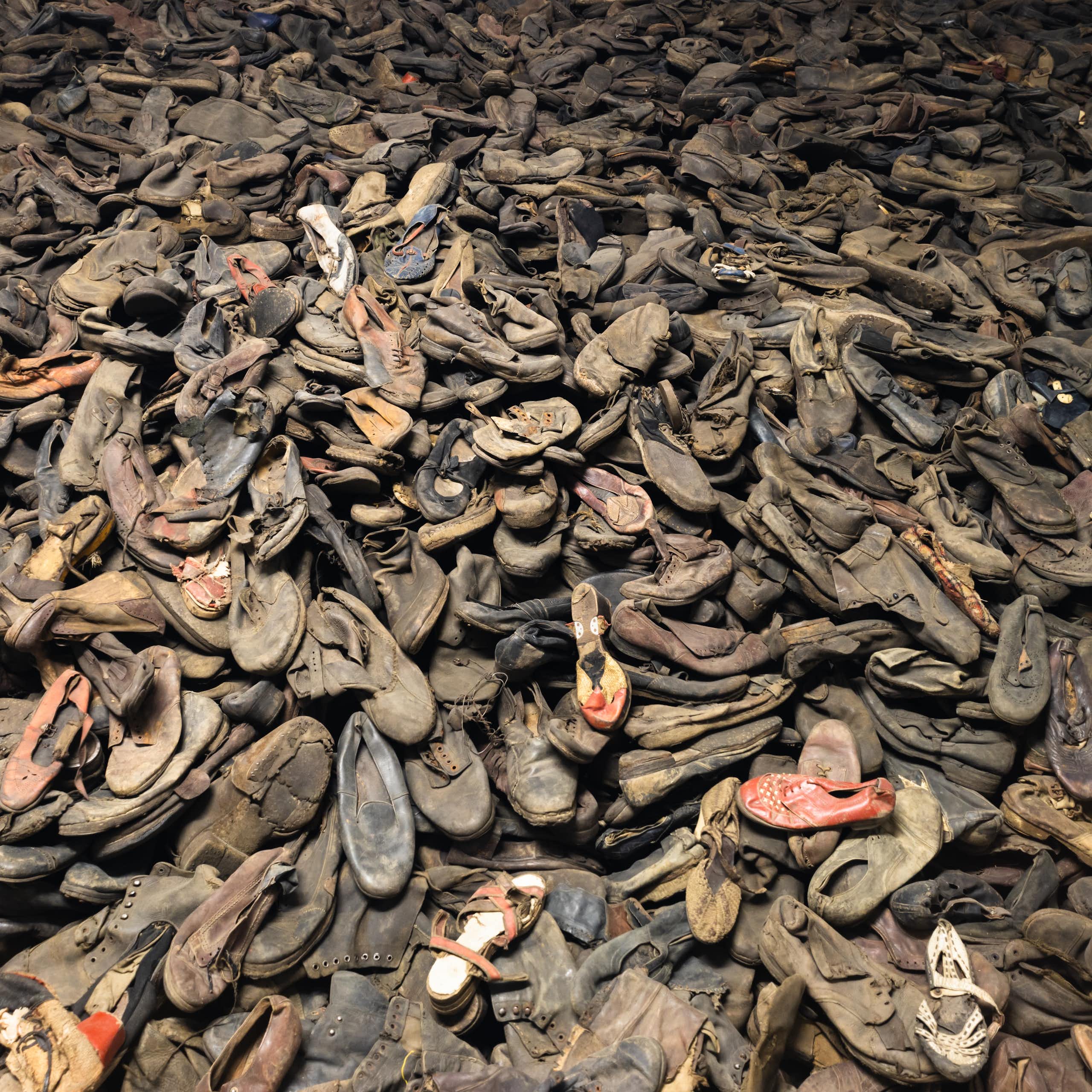 Un 27 janvier pas comme les autres : l’Allemagne, la mémoire d’Auschwitz et la guerre à Gaza