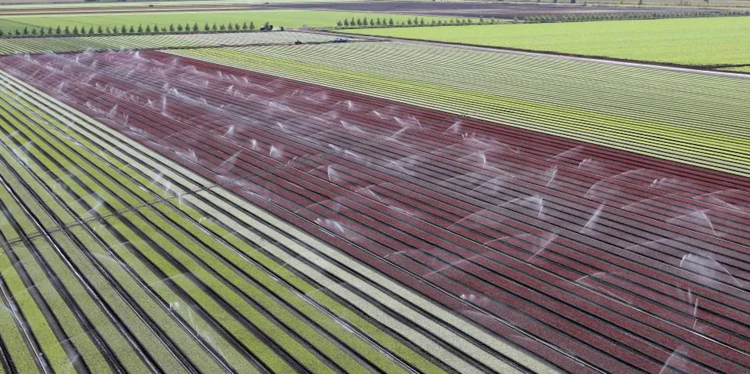agricultural land
