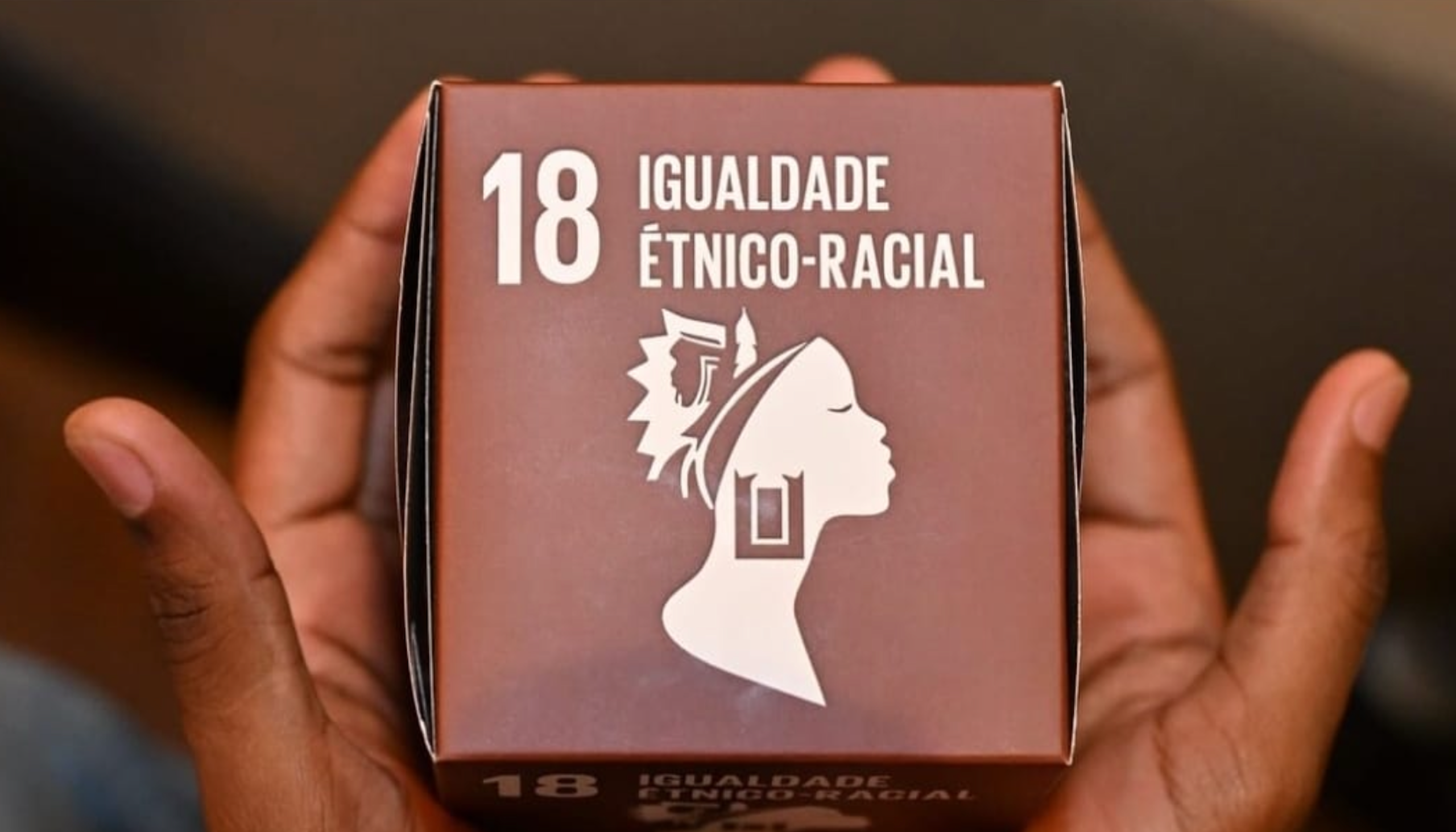 Mãos negras seguram um cubo marrom onde se lê: 18 Igualdade étnico-racial e o ícone do perfil de uma mulher com cabelos e brincos que trazem referências étnicas negras e indígenas