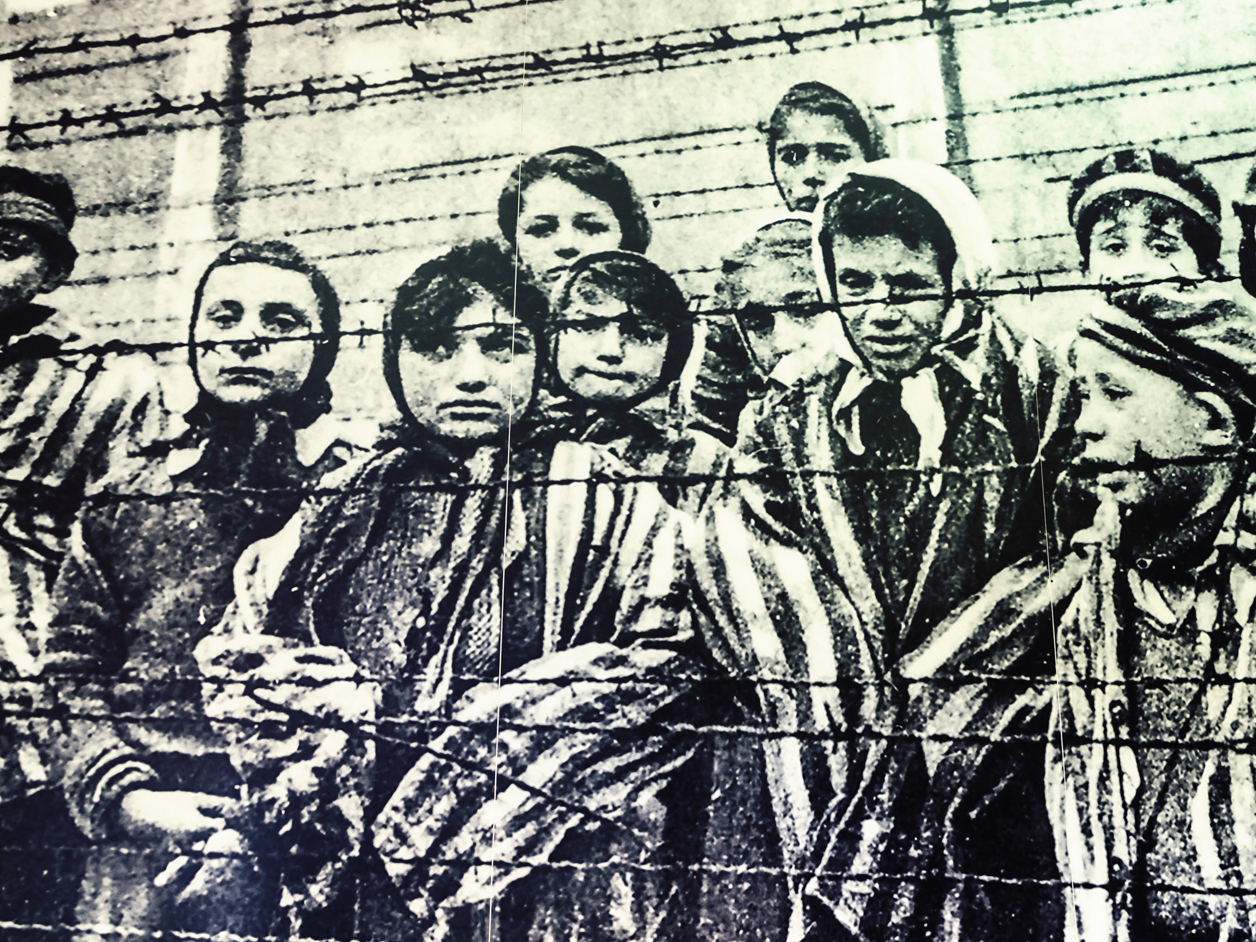 80 years after the liberation of Auschwitz, amid rising antisemitism, the memory of the Holocaust remains contentious